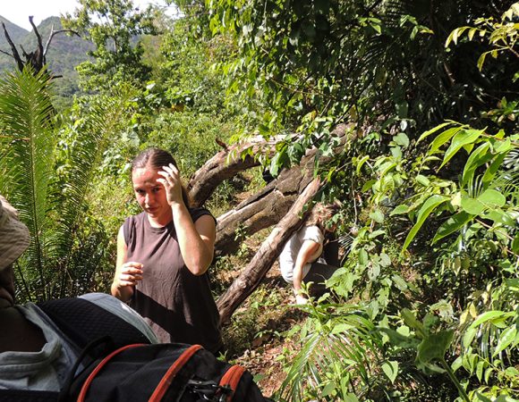 Trekking with Body & Mind | 6 Nights 7 Days